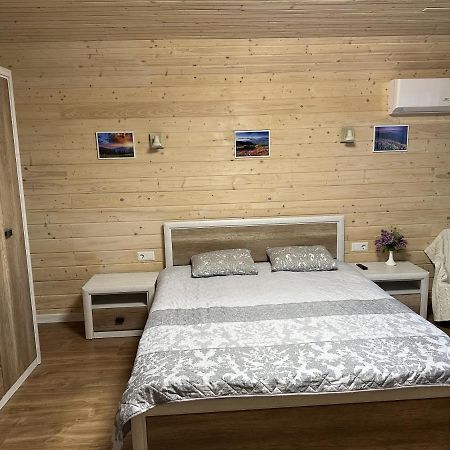 Carpathian Dream Apartments ヤレムチャ エクステリア 写真