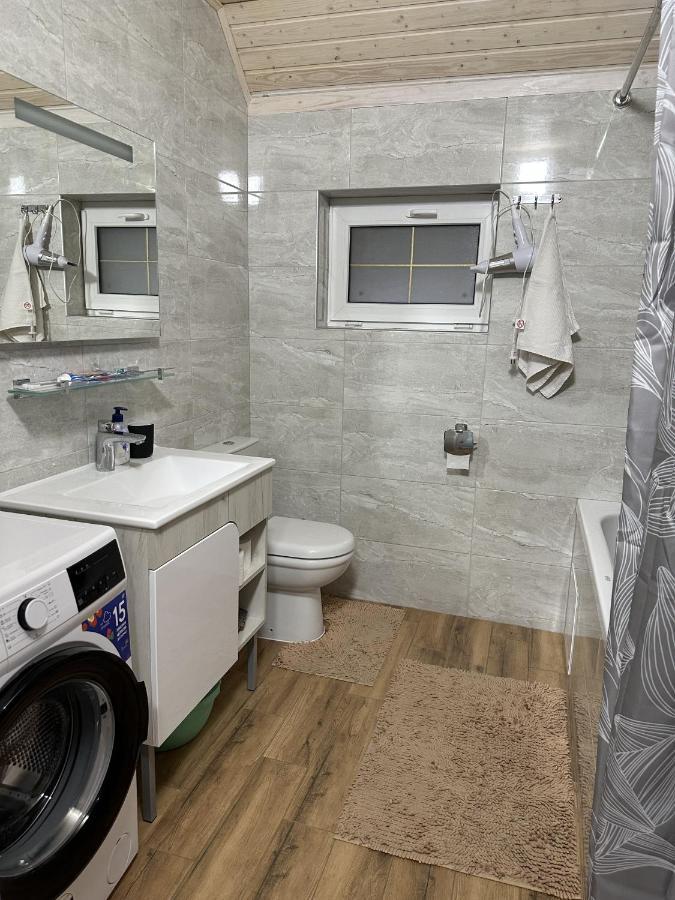 Carpathian Dream Apartments ヤレムチャ エクステリア 写真