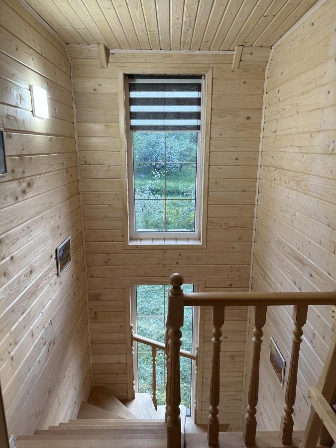 Carpathian Dream Apartments ヤレムチャ エクステリア 写真